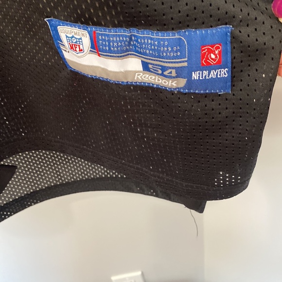 NFL GAME WORN EAGLES NFL REGGIE BROWN   31” long x 24” wide - Picture 5 of 7